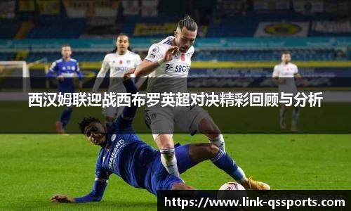 球速体育公司