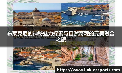 球速体育